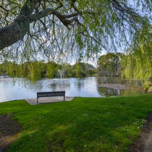 gilmour-lake-waihi